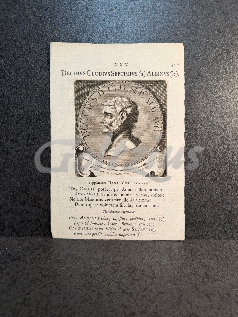 Portrait of Decimus Clodius Septimius Albinus